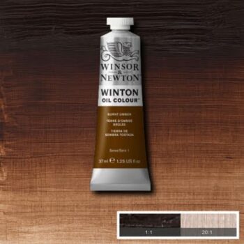 Winton 37ml - Burnt Umber 076