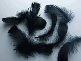 Black Feathers - 7cm (approx 200)