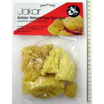 Artist's Natural Sea Sponges - assorted pack